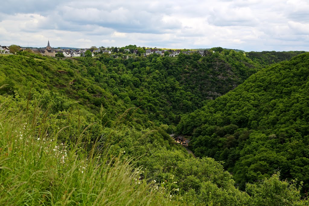 Mittelrhein by Robert Babiak