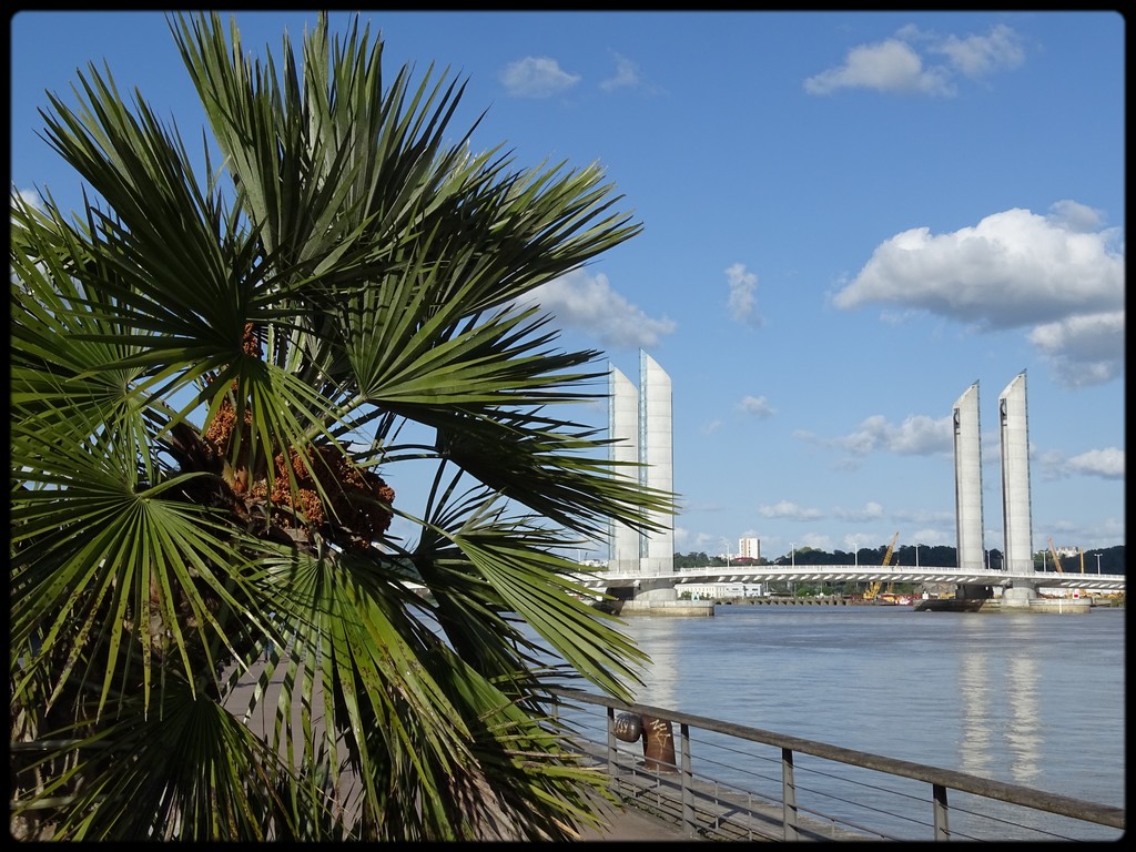 Cool'titude sur les quais de Bordeaux. by J-Christophe Ravon