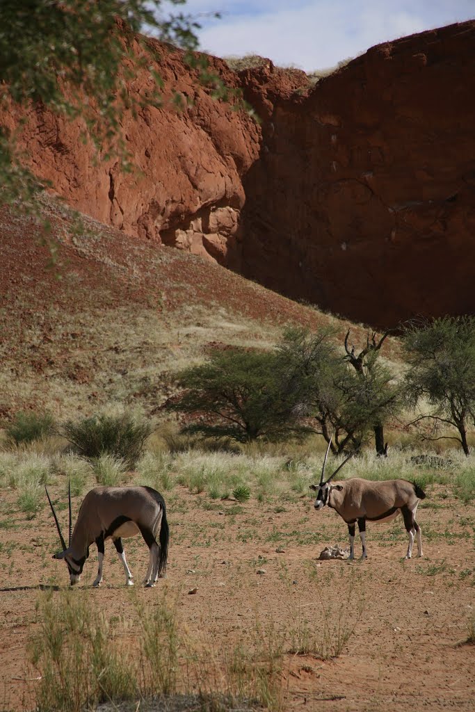 Namib Desert Lodge, Namib-Naukluft National Park, Hardap, Namibia by Hans Sterkendries