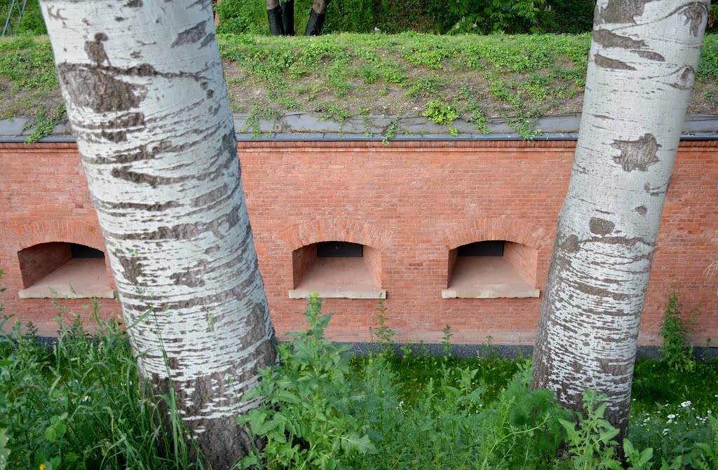 Stary Żoliborz, Warszawa, Poland by Roman Eugeniusz