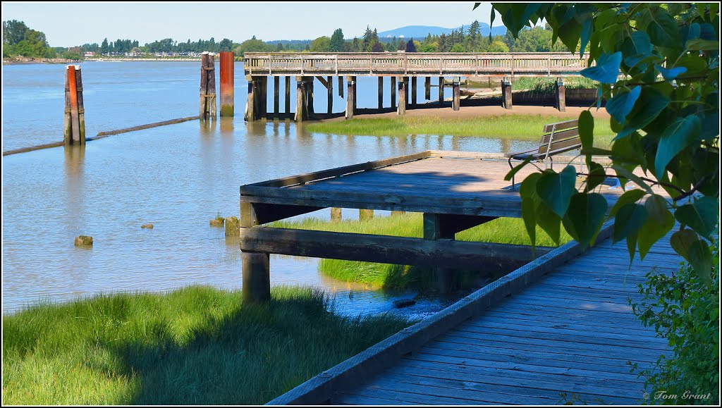 Fraser River Park - May 2016 by ThosGee