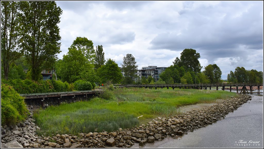 Riverside Park walk and pier, foot Kerr Street, North Arm Fraser River - May 2016 by ThosGee