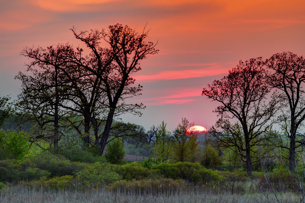 Oregon, Wisconsin Sunset #2 by stargazerherman