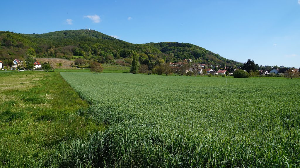 Bergstraße mit Melibokus by Gueros