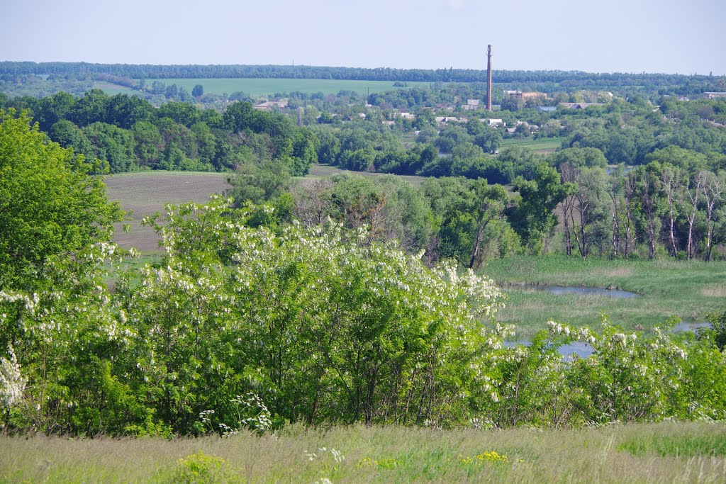 Tal'nivs'kyi district, Cherkas'ka oblast, Ukraine by Виталий Островский