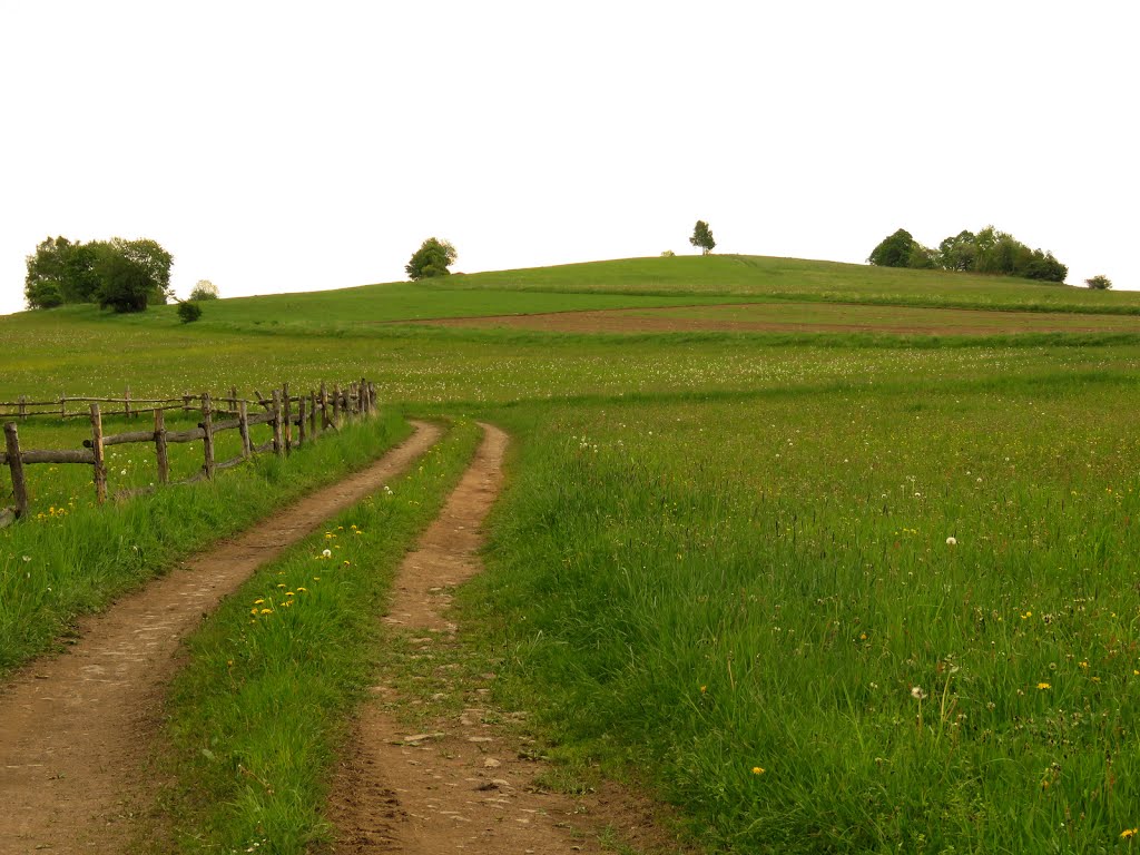 Łąki nad Glinnem by Dodge