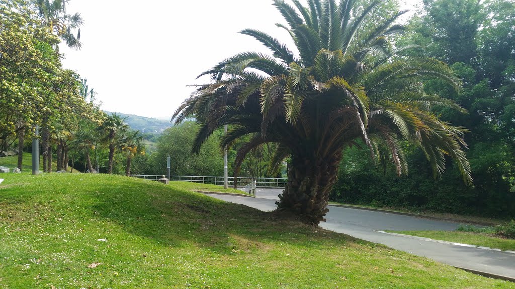 San Sebastián, Gipuzkoa, Spain by viajerocontinuo