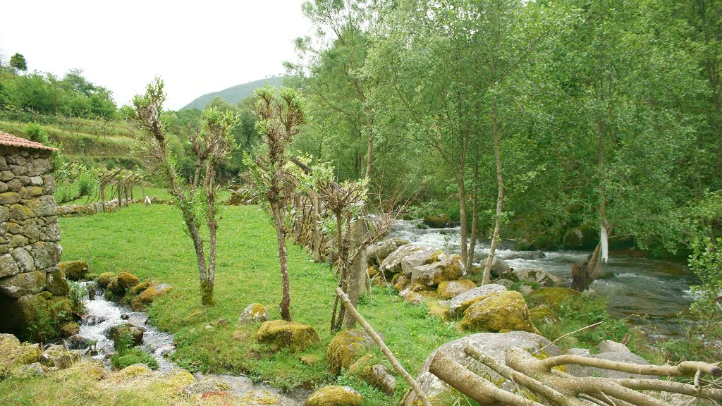 Parque Fluvial da Lagariça by Mario Carneiro