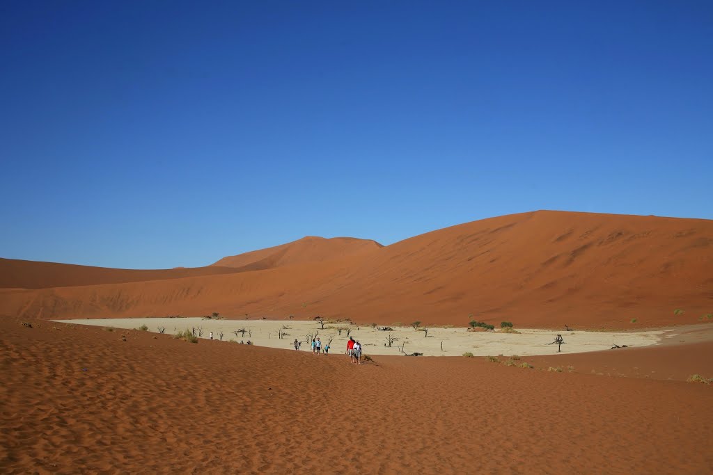 Deadvlei, Namib-Naukluft National Park, Hardap, Namibia by Hans Sterkendries