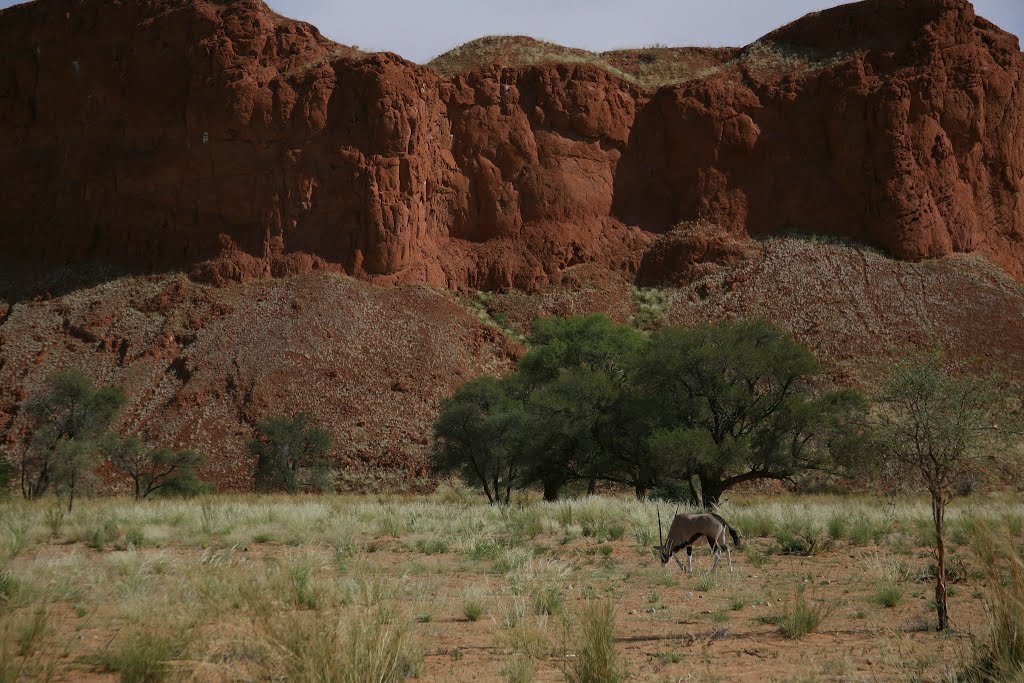 Namib Desert Lodge, Namib-Naukluft National Park, Hardap, Namibia by Hans Sterkendries