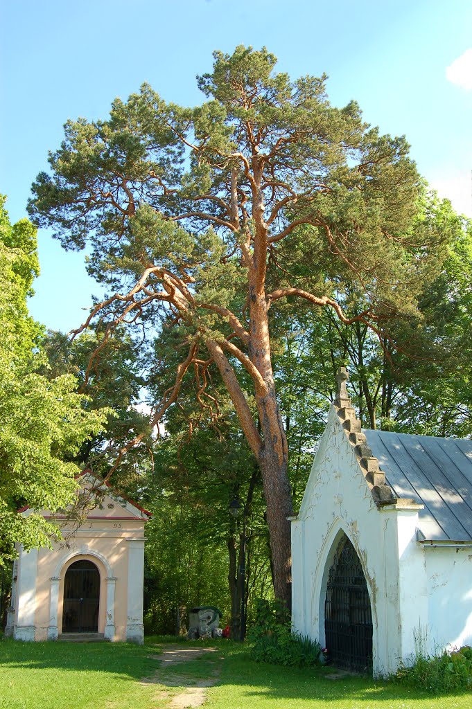 Prešov, Slovakia by Martin Rovňák