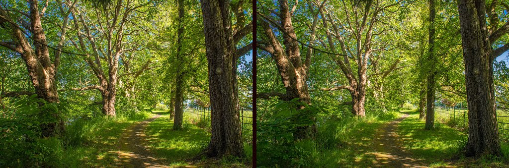 3D cross eyed view of Hatley Park by robin robinson