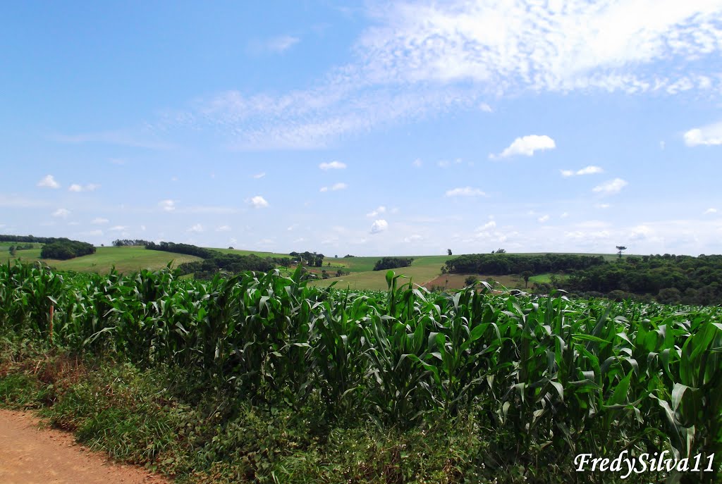 Zona Rural de Ernestina-RS,Brasil. by Fredy Silva (FredySi…