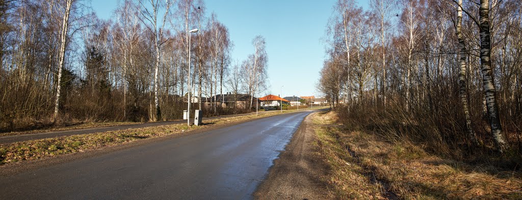 Erlandsgatan, Träslöv, Varberg, Sverige by Jorfro