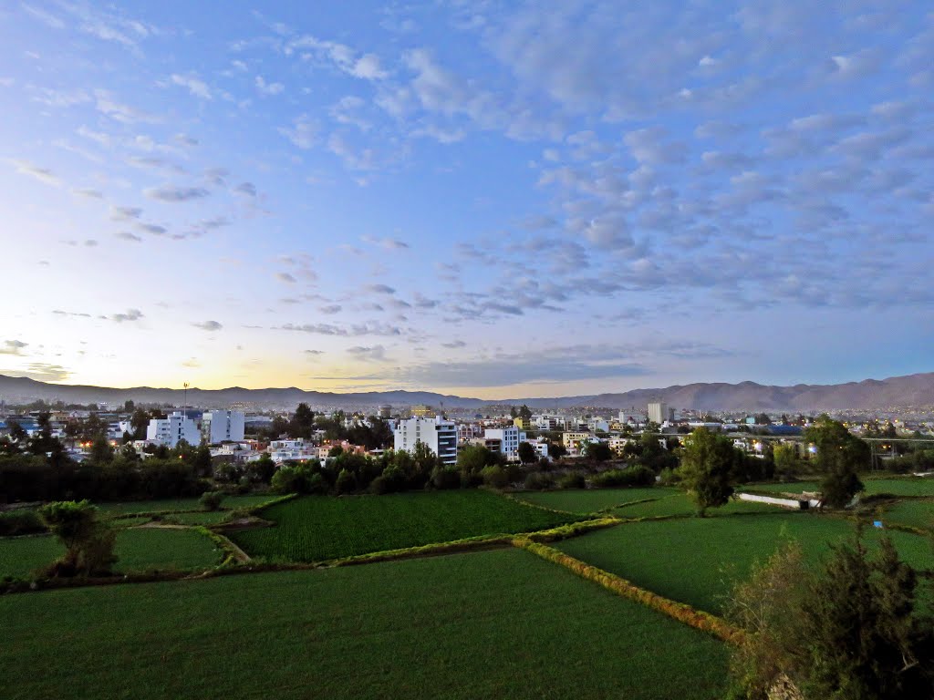 Los frutales, Arequipa, Peru by de jaxsun