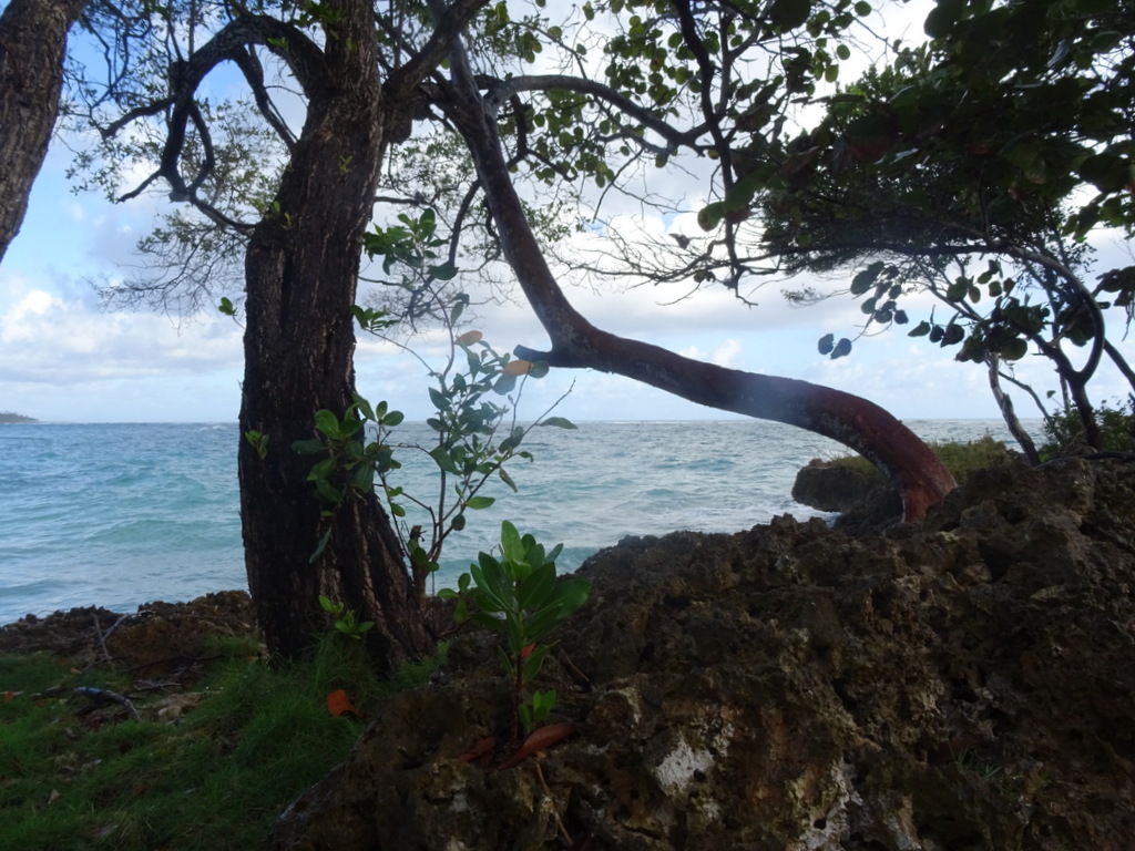 Manguana Beach by Warwick Sellens