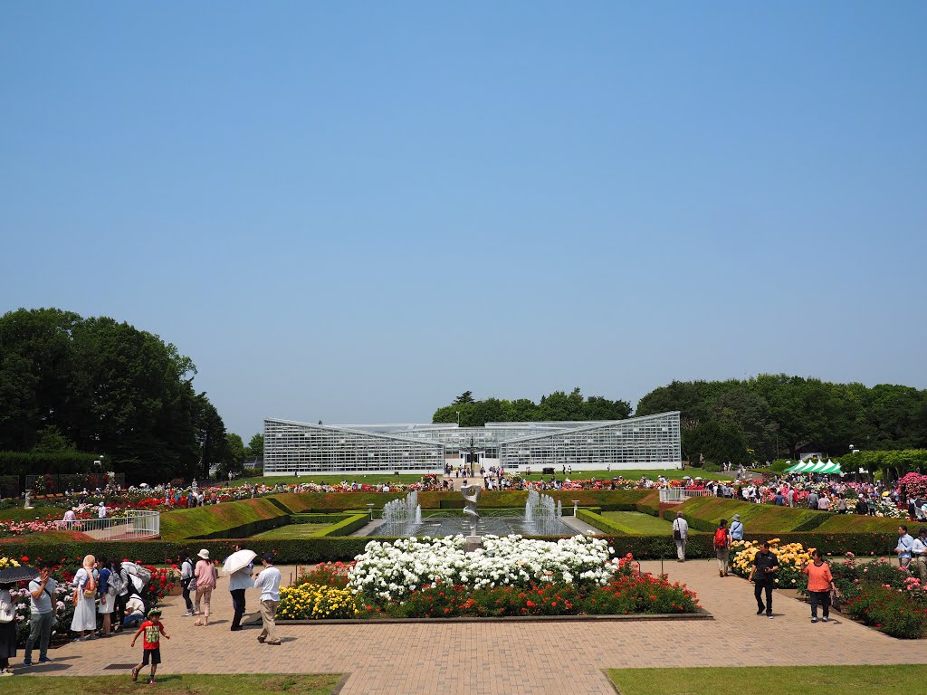 神代植物公園 バラ by mthr 110