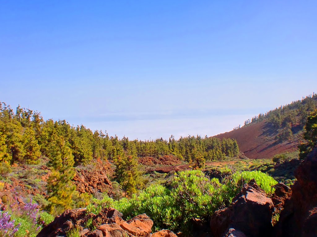 Valle de la Orotava (Tenerife) by Moisés de Tapia Garc…