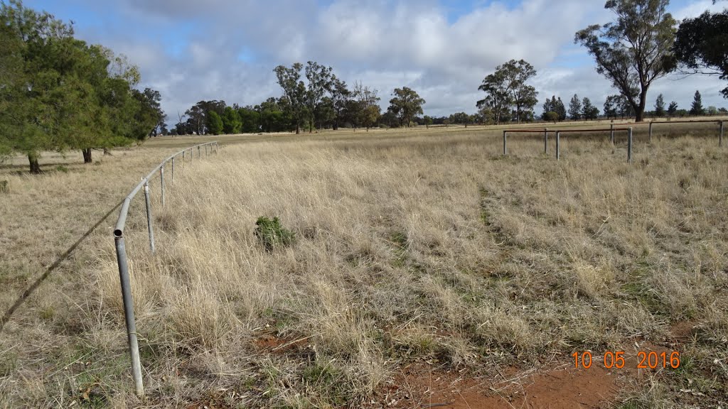 Quandialla - Showground - 2016-05-10 by Gary Edwards