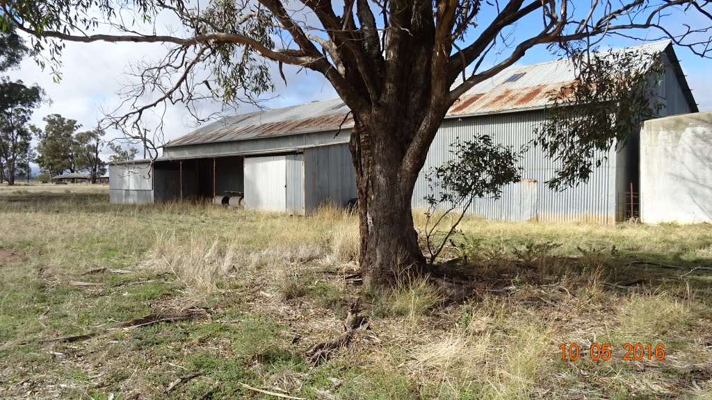 Quandialla - Showground Pavillion - 2016-05-10 by Gary Edwards