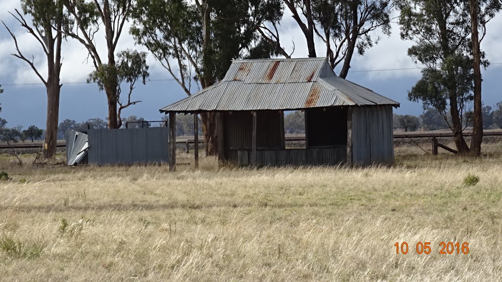 Quandialla - Showground, Old Buildings - 2016-05-10 by Gary Edwards