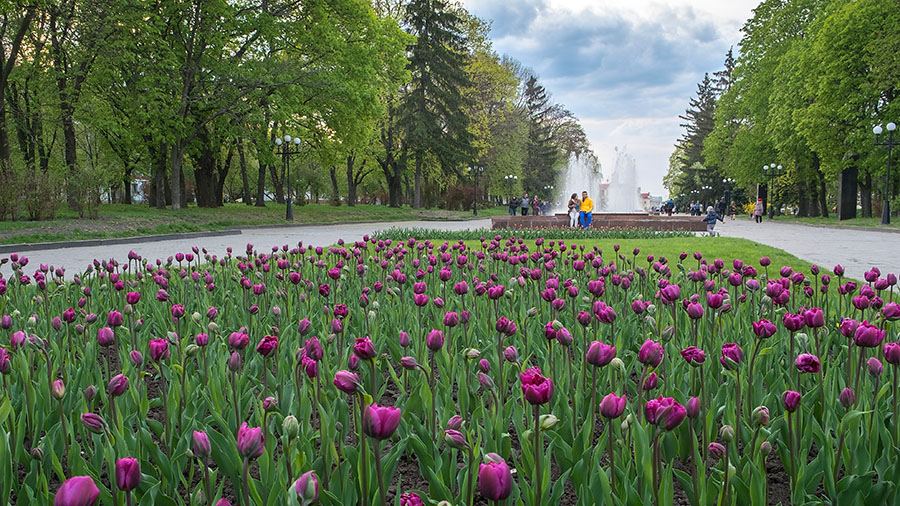 Springtime in Chernihiv by Майк Подорожник