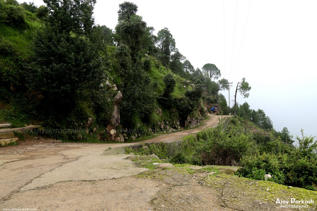 Road to heaven by Ajay Parkash