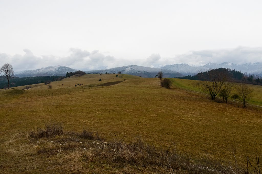 013 05 Lutiše, Slovakia by Pavol Gombos