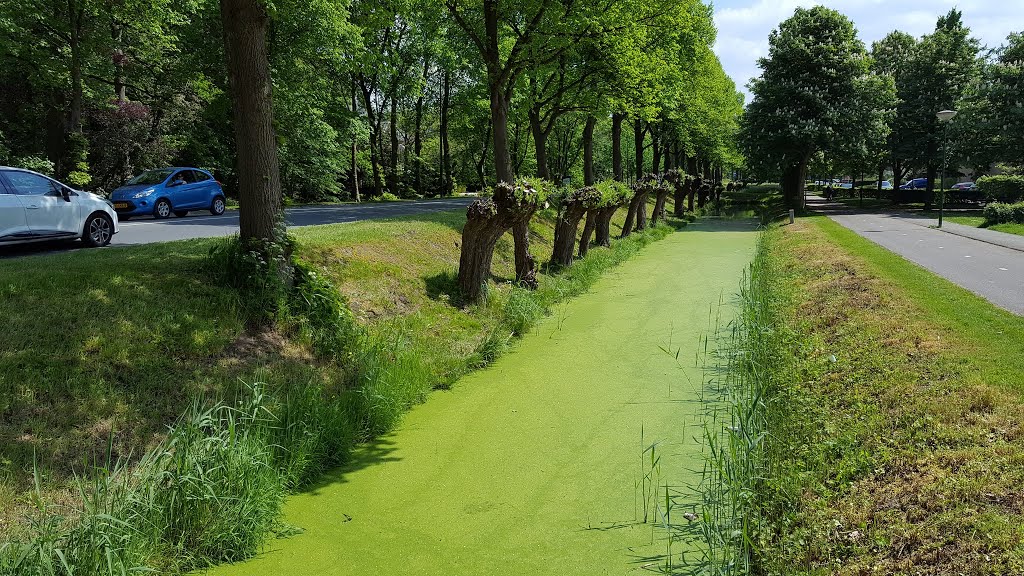 Straatweg, Breukelen by Iemco Kooijman