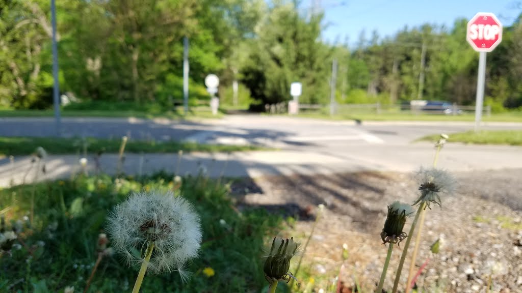 Millennium Trail by City of Portage