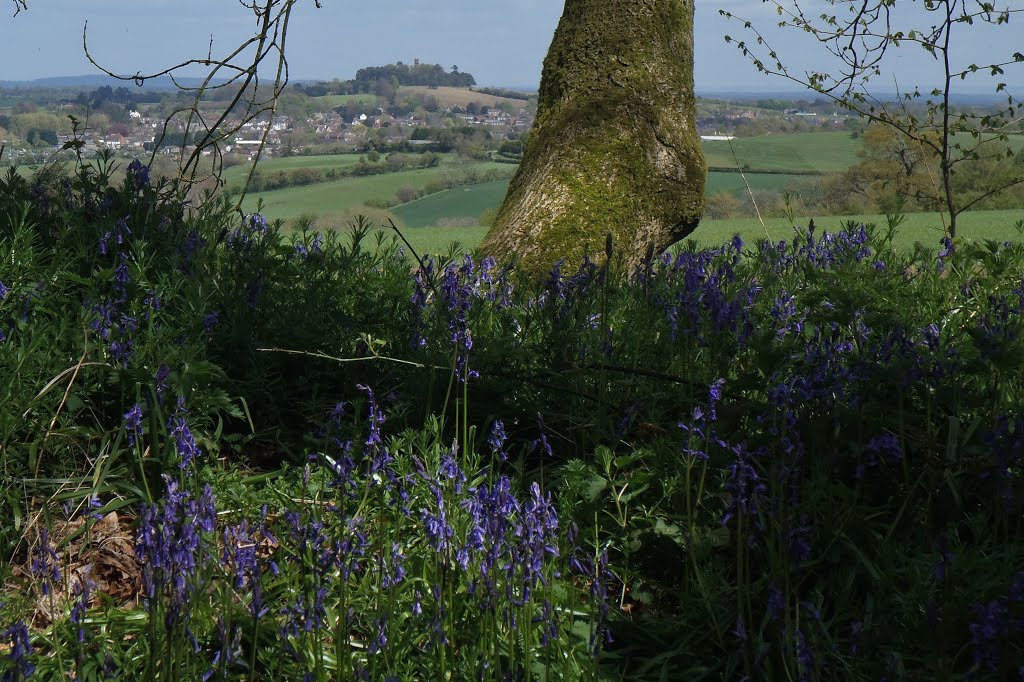 Faringdon & Cromwell's Folly by Meic W Caerdydd