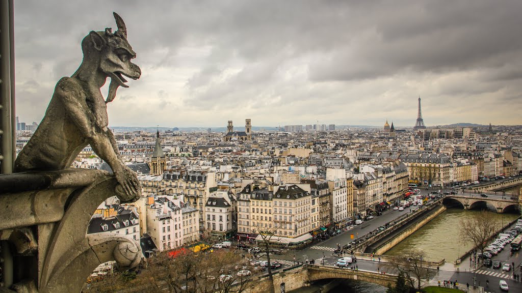 Panorama de París desde Notre Dame by Jose Antonio Ibañez