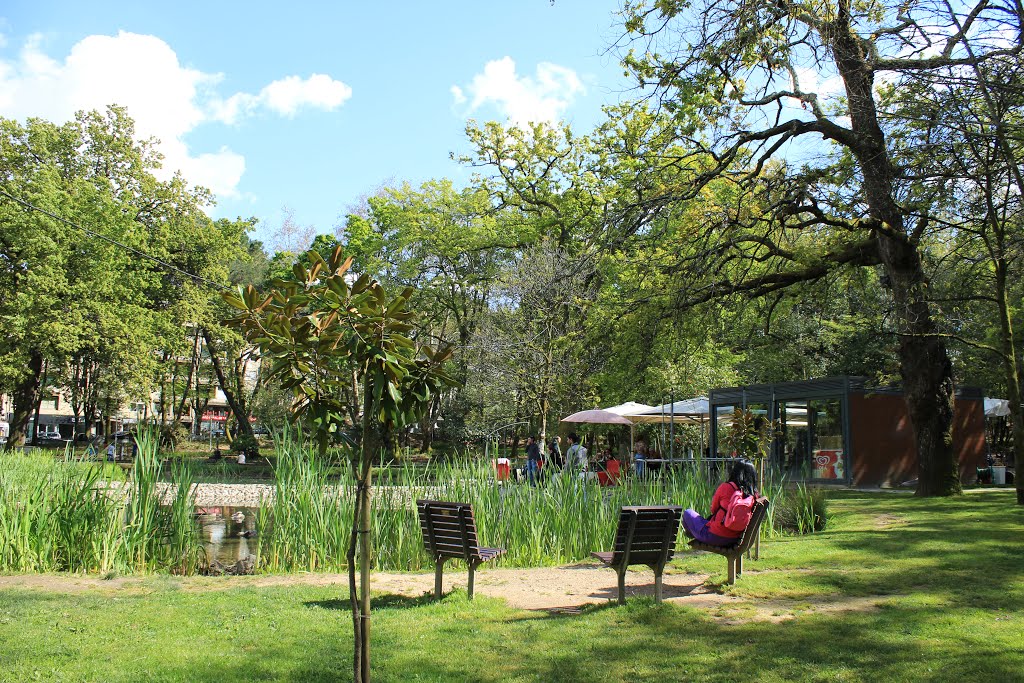 Parque Aquilino Ribeiro, Viseu, Portugal by Margarida Bico