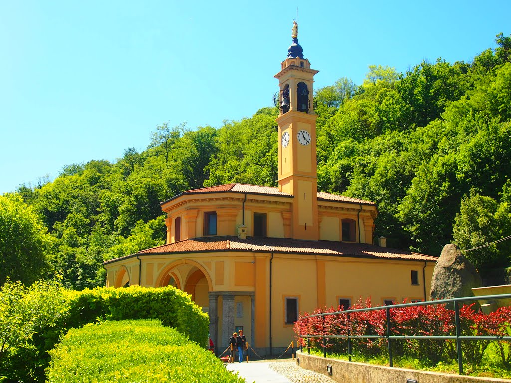 MADONNA DEL BOSCO by grzegorz.R.