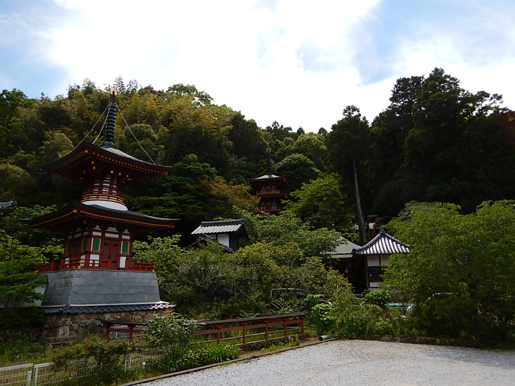 Usachoryu, Tosa, Kochi Prefecture 781-1165, Japan by shinji noguchi