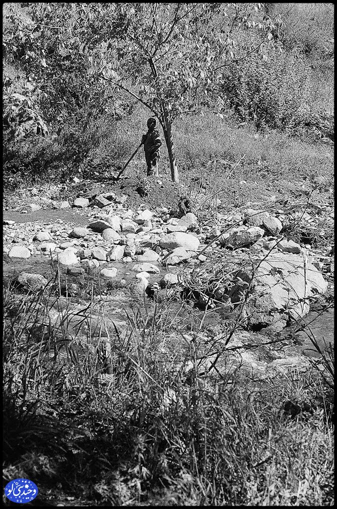 یحیی by Vahid Nabiloo