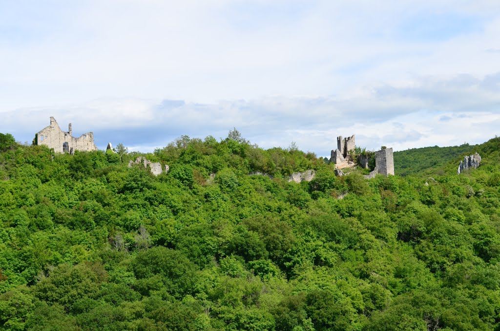 Dvigrad i stijena Krug svetog Anđela (u pozadini zvonik crkve Sv. Silvestra u Kanfanaru) by Zlatko Gustin