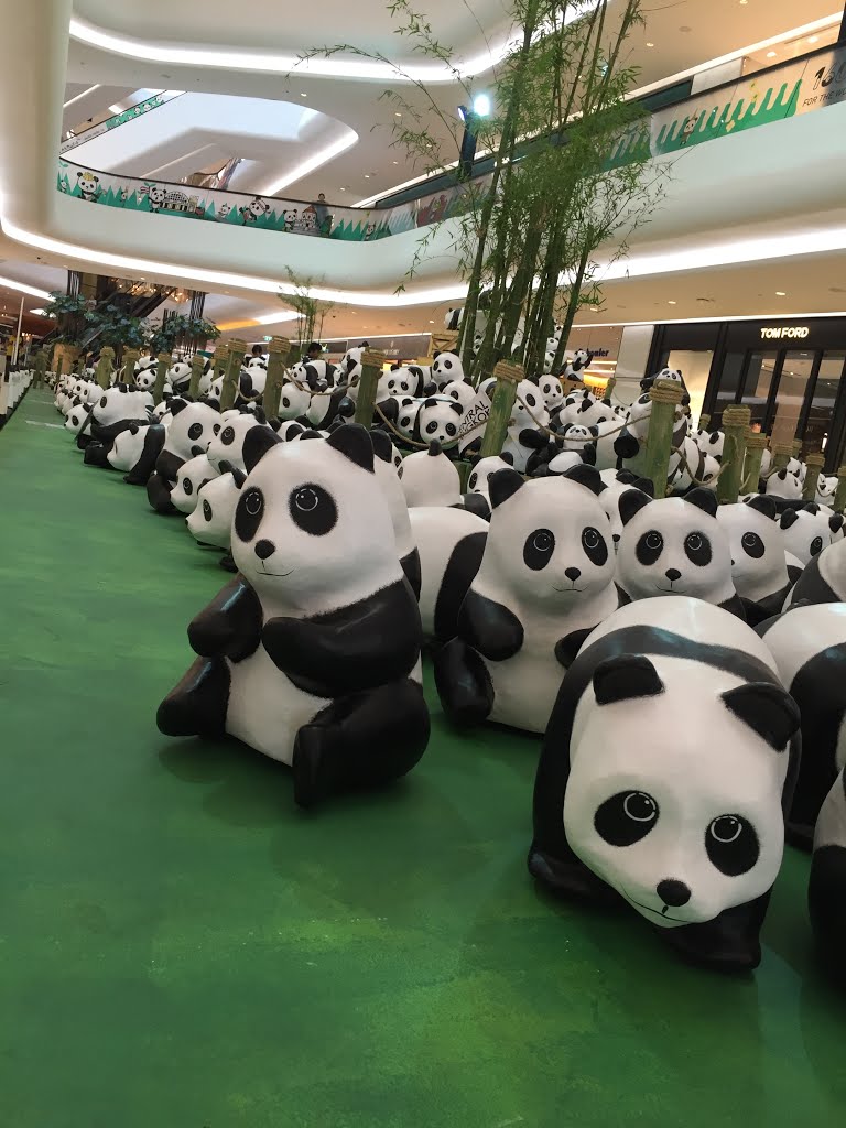 1600 Pandas+ TH by ดนตรีสิบสาม