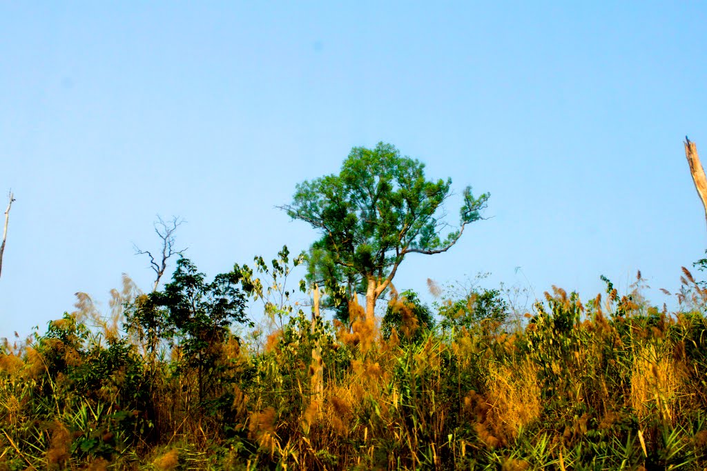 8, Na Pe, Laos by quanphe ngoduc