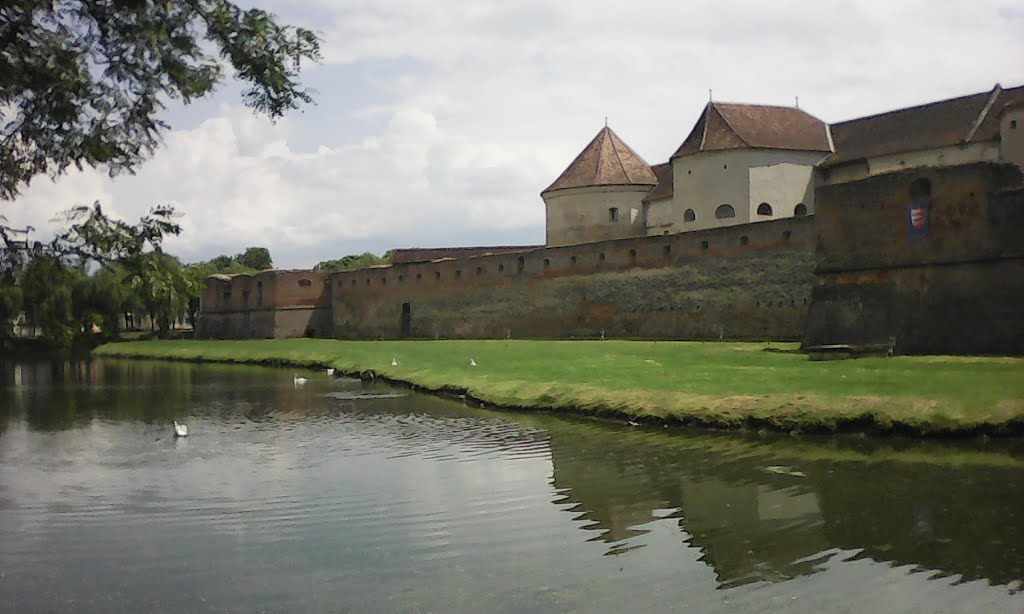 Centru, Făgăraș, Romania by Ionita Dorin