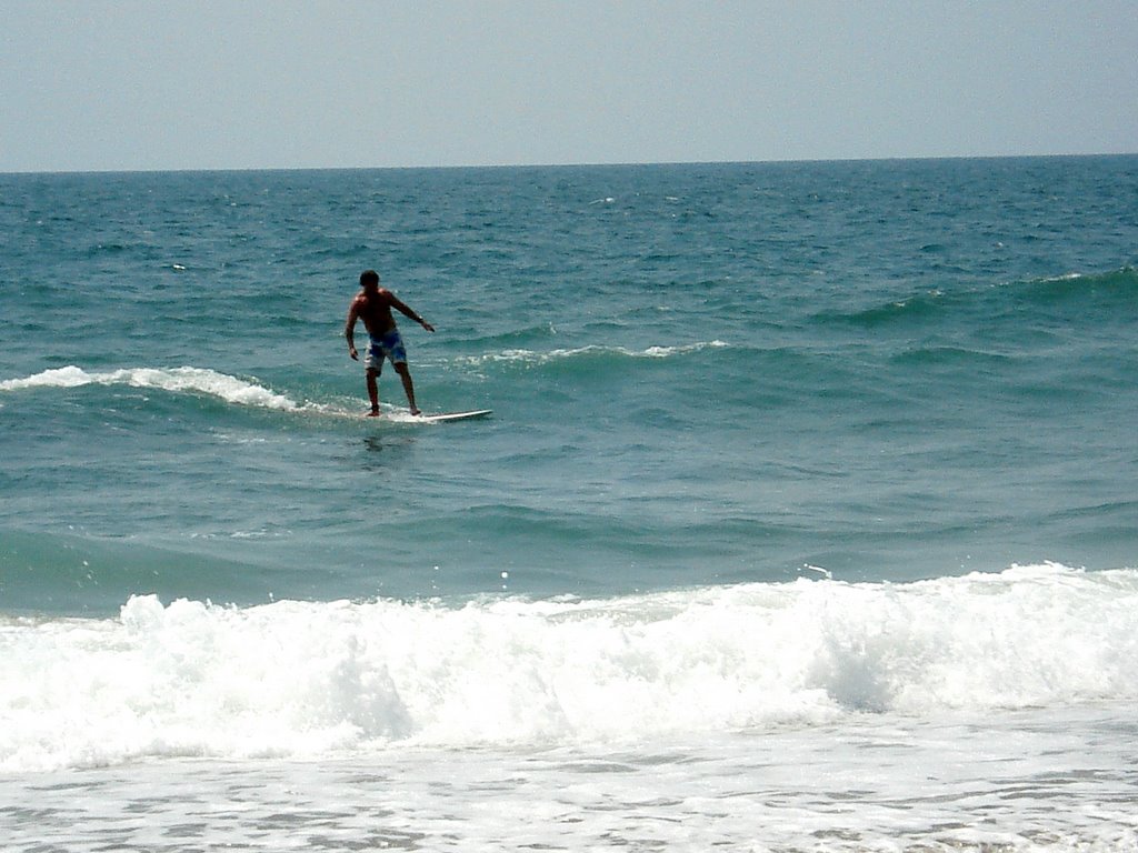 Ridin' the surf. by sedgwick