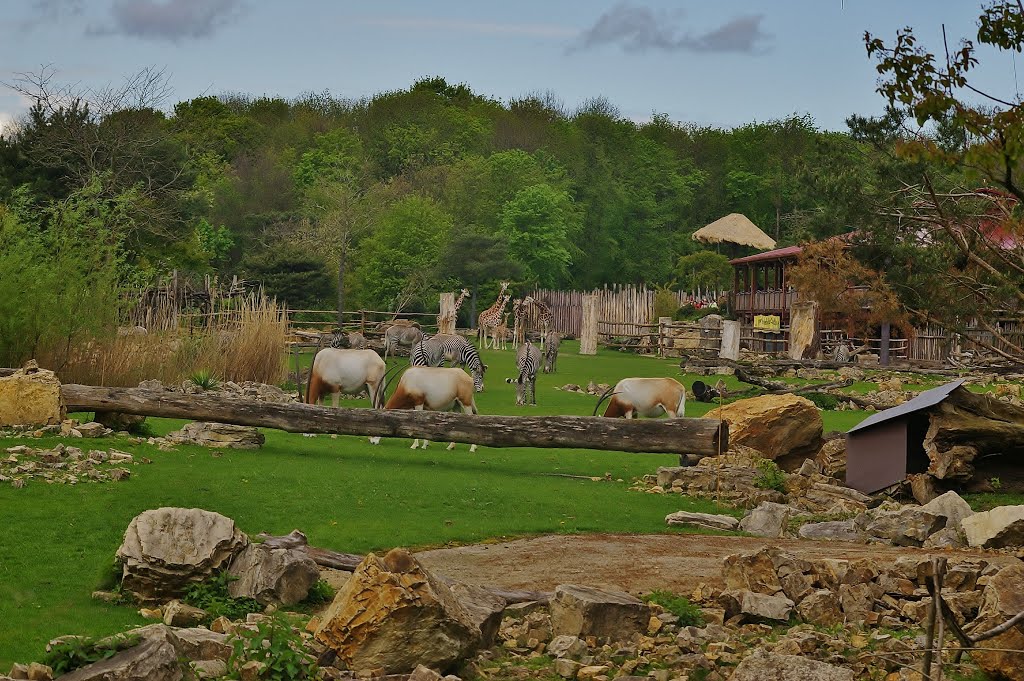 Kiwara - Savanne (Themenbereich Afrika) im Zoo Leipzig by reggaeboy