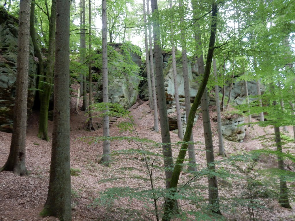 Larochette, Luxembourg by Nikos Sarantakos