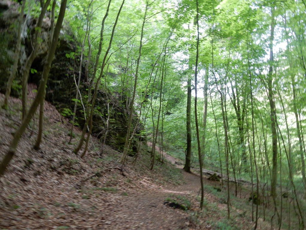 Larochette, Luxembourg by Nikos Sarantakos