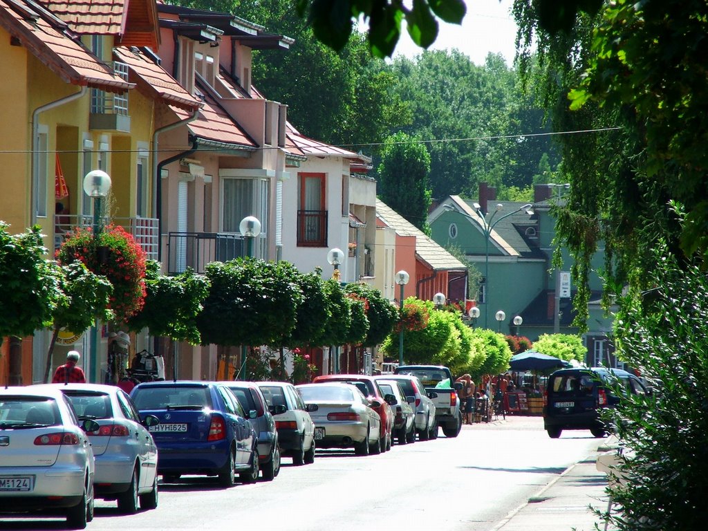 Balatonalmádi, Hungary by Csaba Heilig