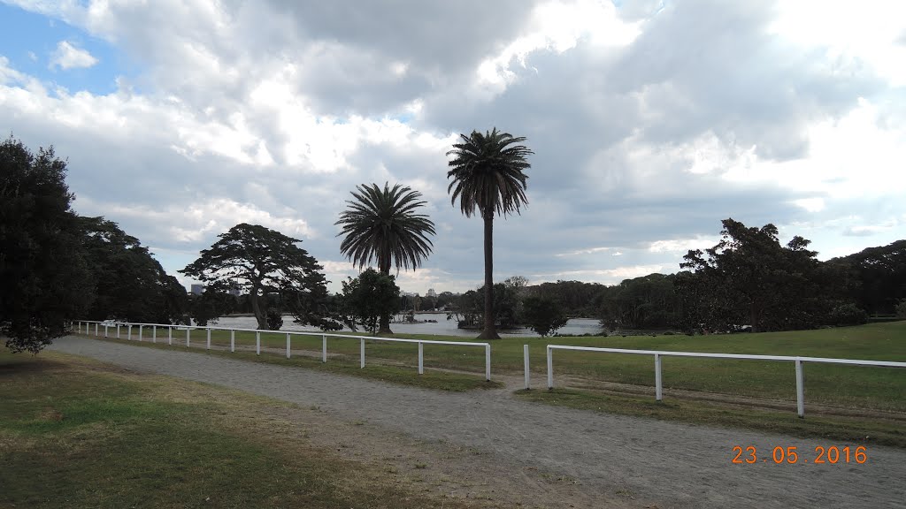 Centennial Park NSW 2021, Australia by Alexander Lopatin