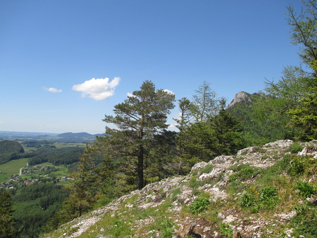 Blick zum Schober (1328m) by Daniel Gruber