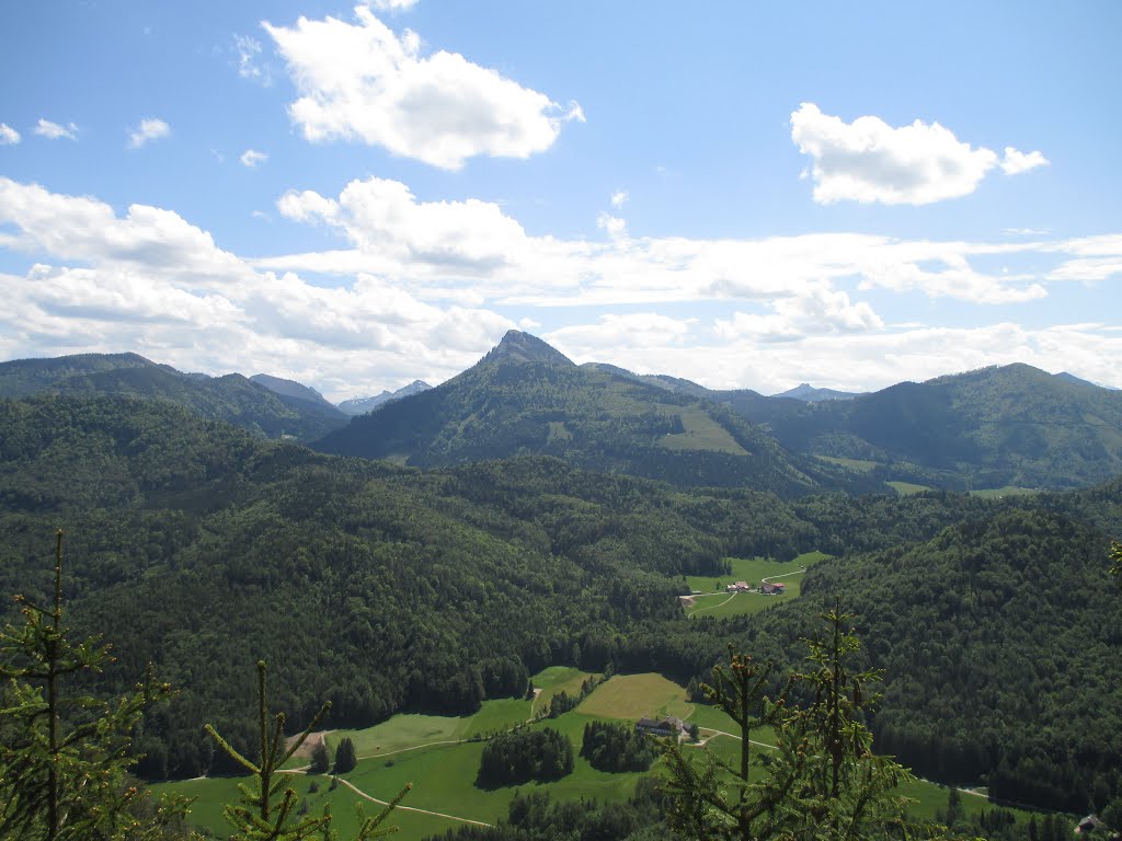 Blick zum Faistenauer Schafberg (1559m) und Schmittenstein (1695m) by Daniel Gruber