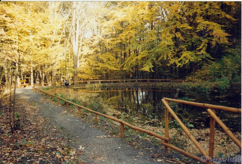 Herbst am Seerosenteich by bergkristall Harz