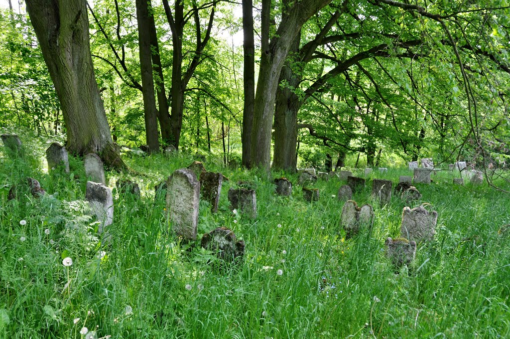 Jüdischer Friedhof in Šafov by Andreas Schwameis